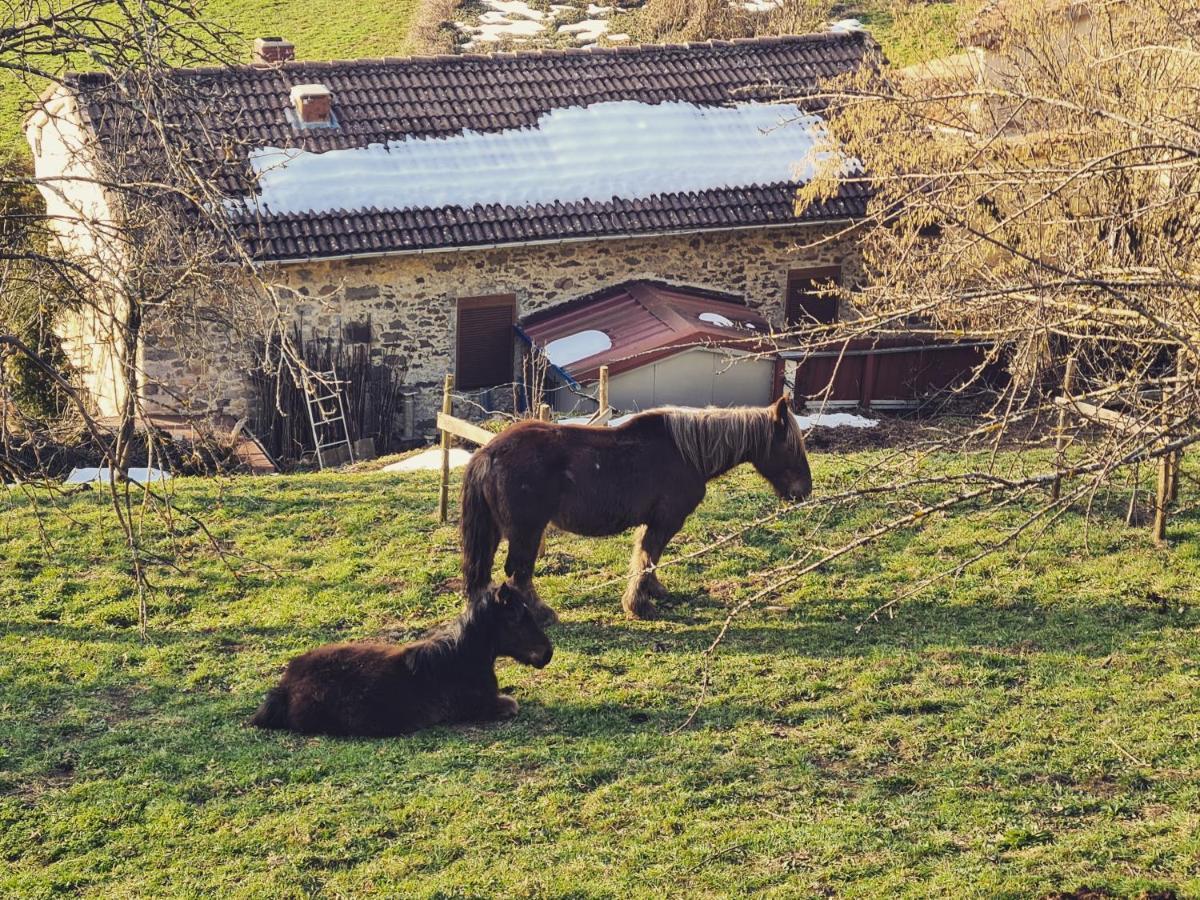 Hotel Rural El Sestil Dobres Dış mekan fotoğraf