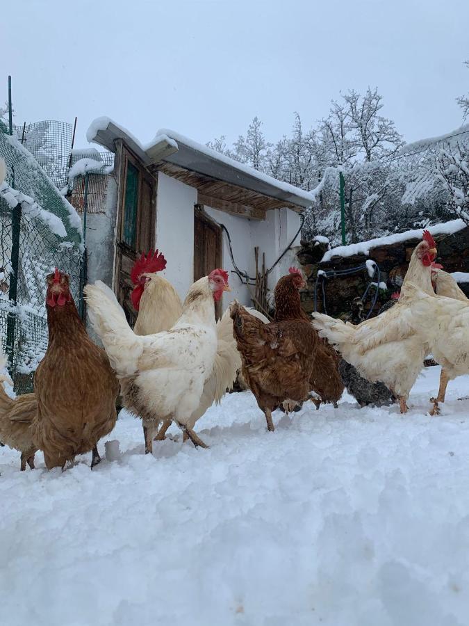 Hotel Rural El Sestil Dobres Dış mekan fotoğraf